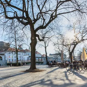 Old Town Gasthuis